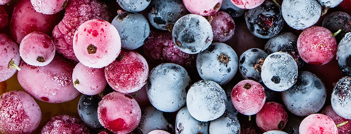 IQF freezing tunnel for berries and food products with individual quick freezing technology and air flow system