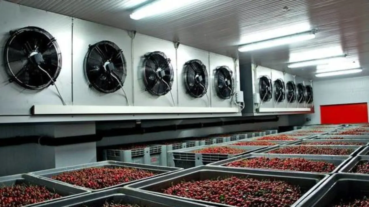 Industrial blast freezer chamber for berries and food products at -35°C with air cooling system in food processing facility