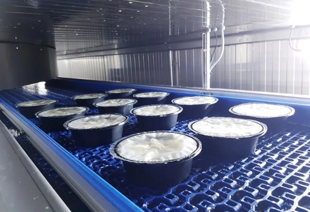 Ready meals on a conveyor belt before blast freezing