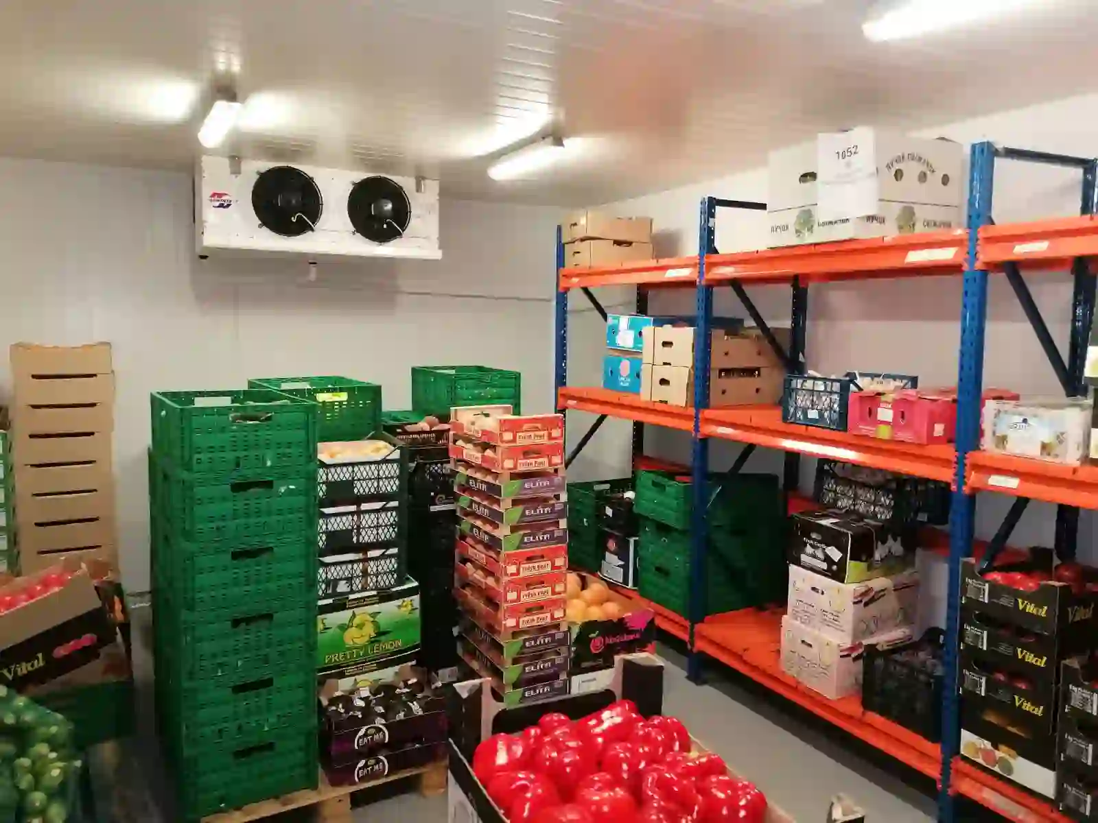 Industrial cold storage room for HoReCa with a Güntner evaporator